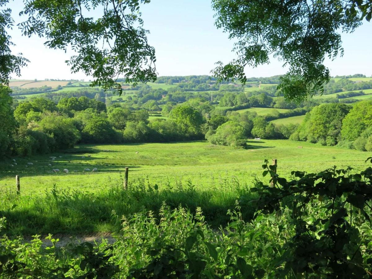 Horseshoe Barn Axminster Esterno foto